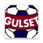 Gulsetcup иконка