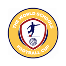 WSG Football Cup APK
