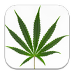 Hemp Cannabis Wallpaper