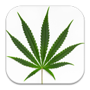 APK Hemp Cannabis Wallpaper