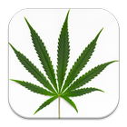 Hemp Cannabis Wallpaper ikona