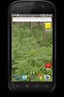 Hemp Cannabis Wallpaper screenshot 1