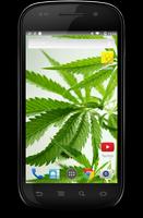 Hemp Cannabis Wallpaper screenshot 3