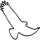 Eagle-Eye Tours APK