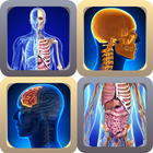 Anatomy Quiz Game Learning App biểu tượng
