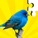 Bird Jigsaw - Puzzle Games APK