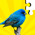 Bird Jigsaw - Puzzle Games icon