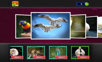Bird Jigsaw - Puzzle Games poster