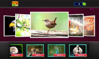 Bird Jigsaw - Puzzle Games screenshot 3