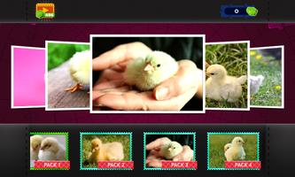 Chicks Jigsaw - Puzzles Games poster