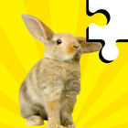 Rabbit Jigsaw - Puzzle Games icon