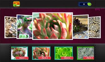 Succulent Plants Jigsaw Puzzle bài đăng