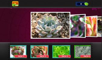 Succulent Plants Jigsaw Puzzle ảnh chụp màn hình 1
