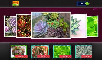 Succulent Plants Jigsaw Puzzle ảnh chụp màn hình 2