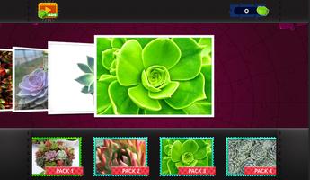 Succulent Plants Jigsaw Puzzle ảnh chụp màn hình 3