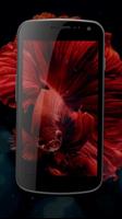 Live Wallpaper Fish poster
