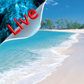 Live Wallpaper Nature