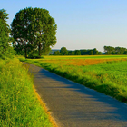 Road wallpaper HD biểu tượng