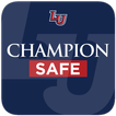 Champion Safe
