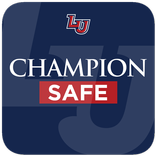 Champion Safe