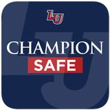 Champion Safe icône