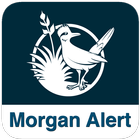 Morgan Alert 圖標