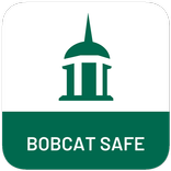 Bobcat Safe