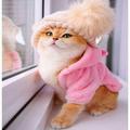 cute cat wallpaper hd