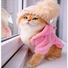 cute cat wallpaper hd-icoon