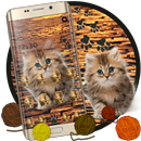 Cute Cat Wool Yarn Gravity Theme APK