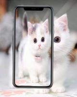 aesthetic cat wallpapers 8k bài đăng