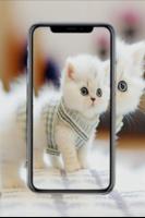 aesthetic cat wallpapers 8k ảnh chụp màn hình 1