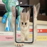 wallpaper kucing estetika 8k syot layar 2