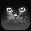 Black Live Wallpaper