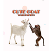 ”Cute Goat Wallpaper