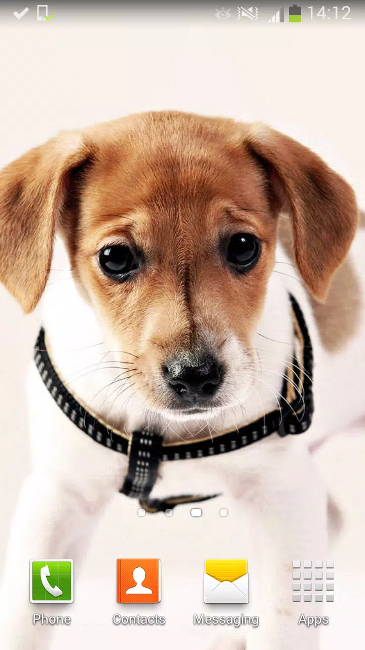 Android向けのかわいい犬 ライブ壁紙 Apkをダウンロードしましょう