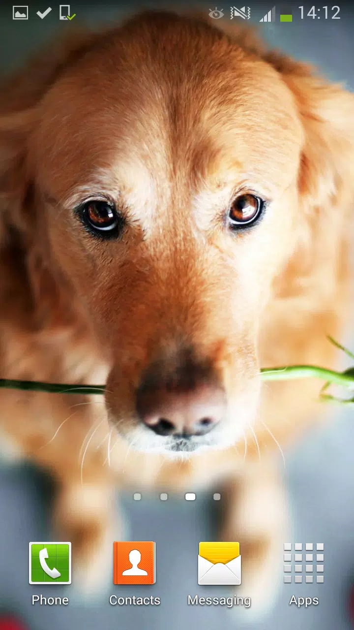 Android向けのかわいい犬 ライブ壁紙 Apkをダウンロードしましょう