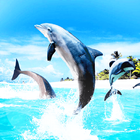 Дельфины Живые Обои иконка