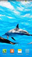 Дельфины Живые Обои постер