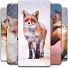 Fox Wallpaper icon