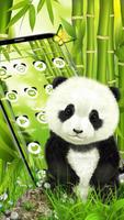 Cute fluffy panda theme screenshot 1