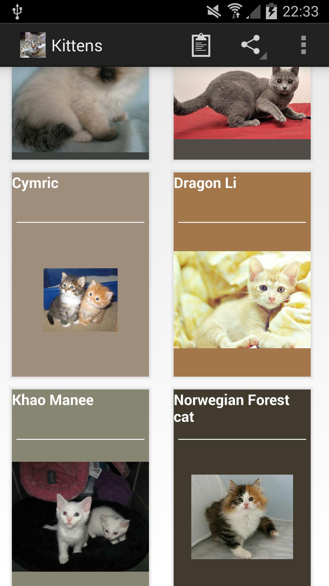 Котики приложения. Приложение про котенка. Фото с котятами из приложения pinterrsting. Как сделать приложения котиками пладно. Приложение кот говорит