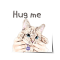Cute Memes Cat Sticker WaStickerApps