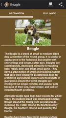 Puppies APK download