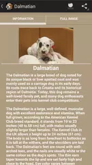 Puppies APK download