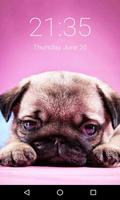 Cute Pug Puppy Lock Screen, Pu gönderen