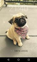 Cute Pug Puppy Lock Screen, Pu Ekran Görüntüsü 2