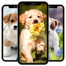 Puppy Wallpaper APK
