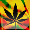 Rasta Marijuana Fondo Animado