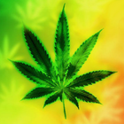 Marijuana Fond d'écran Animé icône